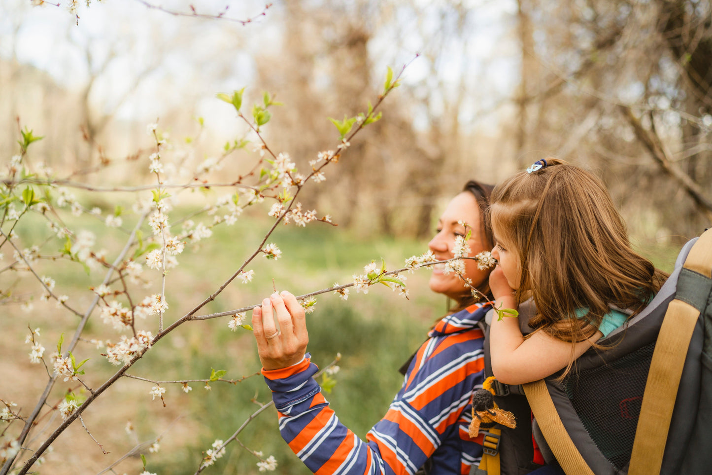 KELTY Journey Perfectfit Elite Child Carrier-Insignia Blue